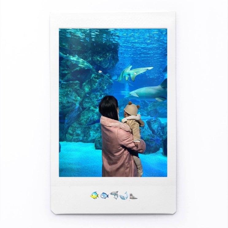  코엑스아쿠아리움 6개월 아기와 다녀온 후기 (feat. 유모차 이동, 주차, 할인 Tip)