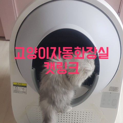  캣링크 고양이자동화장실 자동고양이화장실