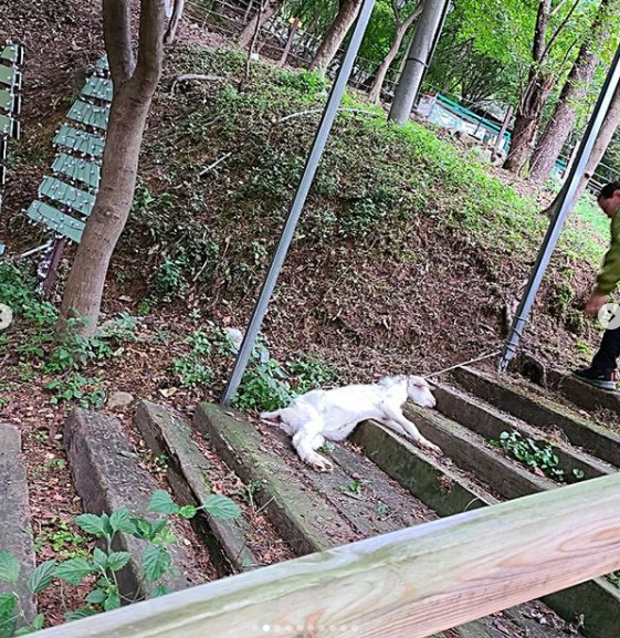  [동물도 감정을 느낀다] 지옥 그 자체 대구 동물원 실태