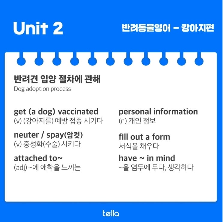  Dog adoption process