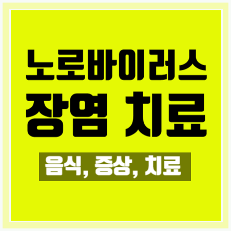  [노로바이러스 치료] 고생 후기! 음식, 증상, 치료 알아봐요!