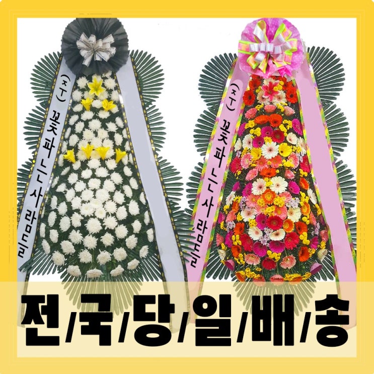 가성비 좋은 (주)꽃파는사람들 축하화환 근조화환 <전국3시간이내 화환 당일배송> 좋아요 가성비 좋은 (주)꽃파는사람들 축하화환 근조화환 <전국3시간이내 화환 당일배송> 좋아요