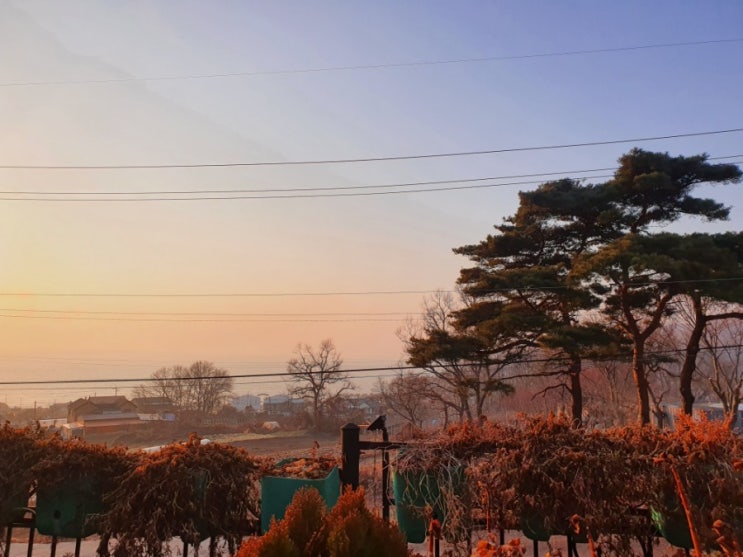  수도권여행 / 벙개 1박 여행 / 강화도 솔향기 펜션