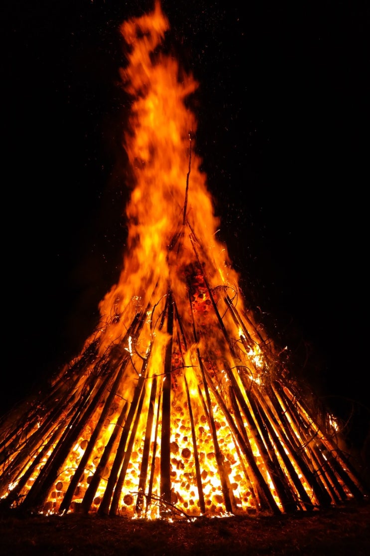 32. !!!!!!!!!!!! Cassava Sciences !!!!!!!!!!!! 32. !!!!!!!!!!!! Cassava Sciences !!!!!!!!!!!!