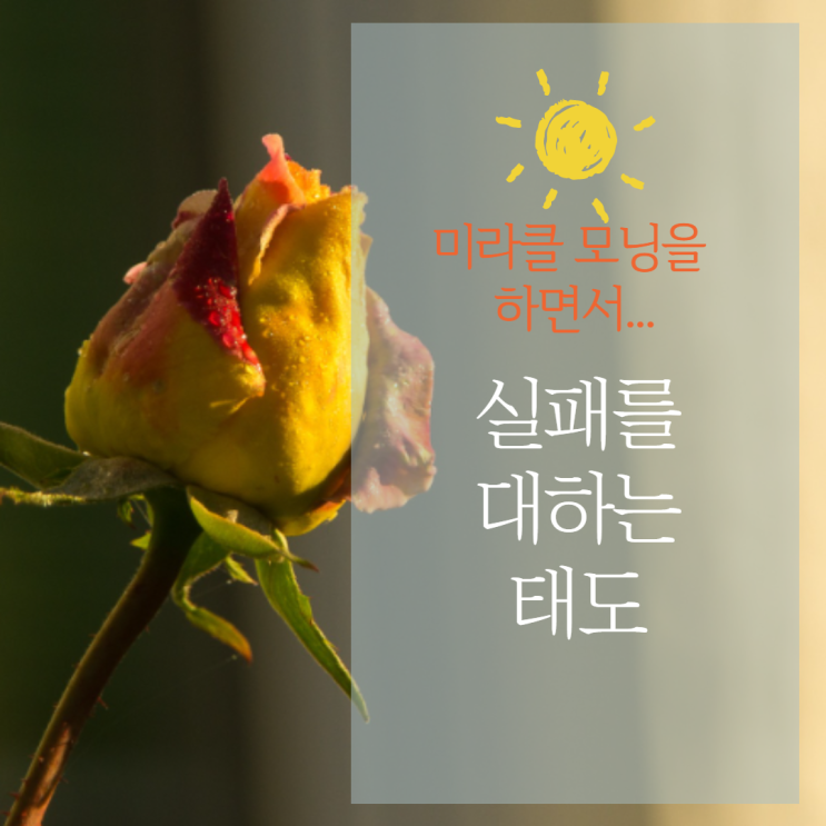  실패를 대하는 태도