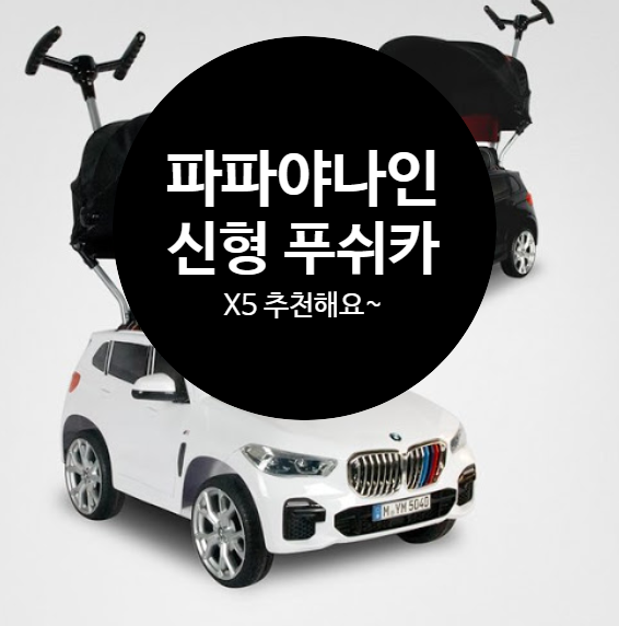  5세대 파파야나인 푸쉬카 BMW X5 포르쉐보다 멋지네!