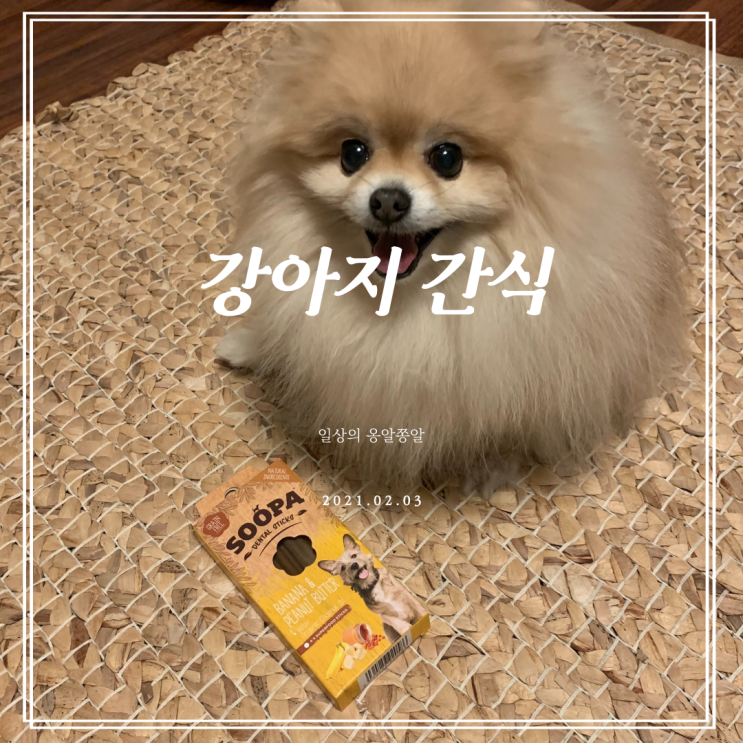  우리미오가 매료 된 강아지간식 페그너티