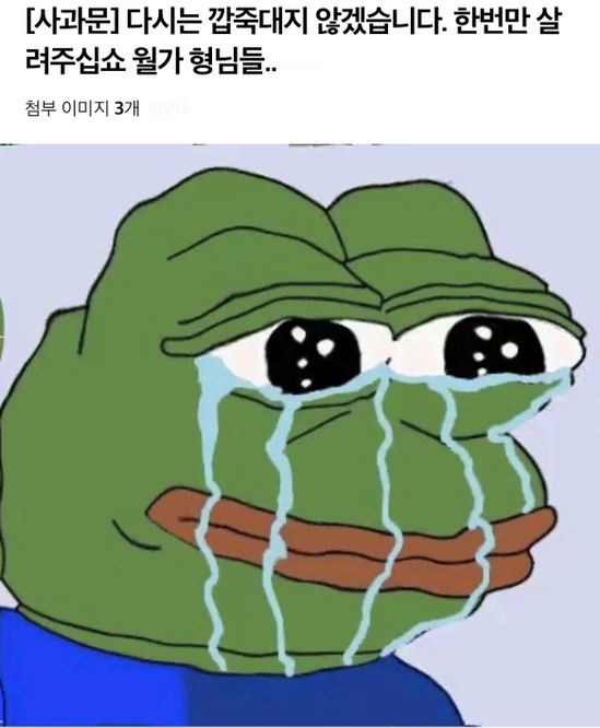  게임스톱 반토막 나다..