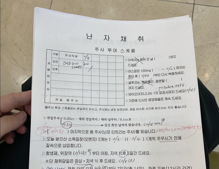  둘째 난임 대구마리아병원 ) 시험관아기 준비과정 3 - 중간체크, 난포터지는 주사