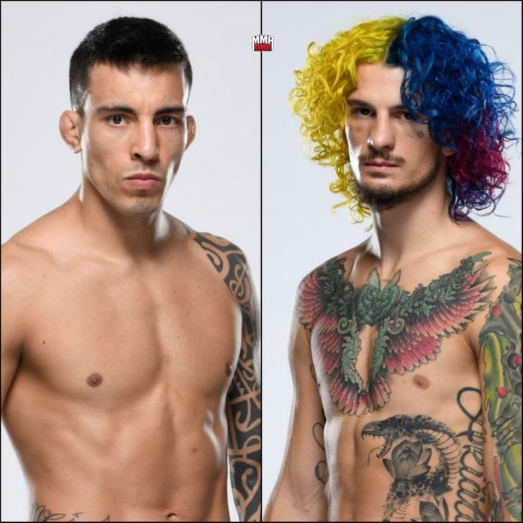 UFC 260: 션 오말리 vs 토마스 알메이다 등 MMA 뉴스 UFC 260: 션 오말리 vs 토마스 알메이다 등 MMA 뉴스