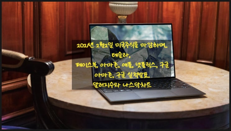  미국 주식:2021년 2월2일 주식장. 테슬라(TESLA),FAANG(페이스북, 아마존, 애플, 넷플릭스, 구글) 주식. 아마존, 구글 실적 발표.