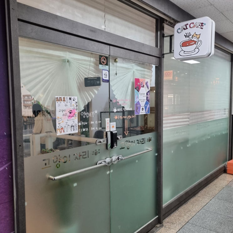  인천 고양이카페 :: 고양이자리 고양이가 순하고 이뻐요!