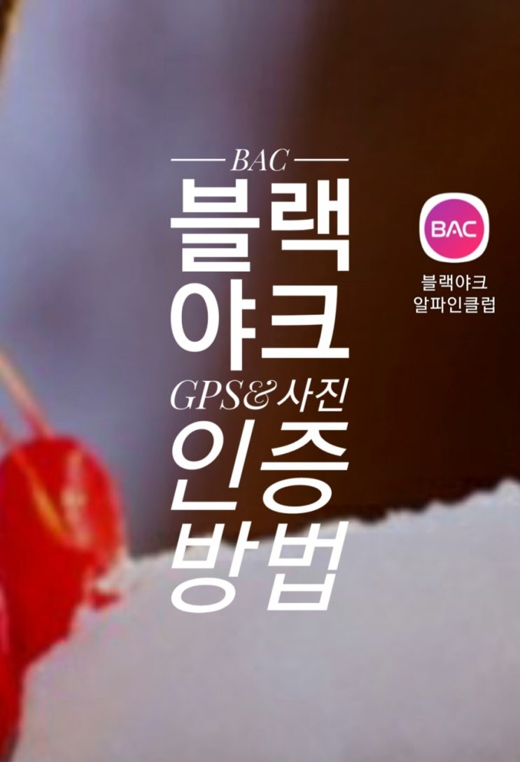  블랙야크 100대명산 인증수건 없이 GPS인증방법