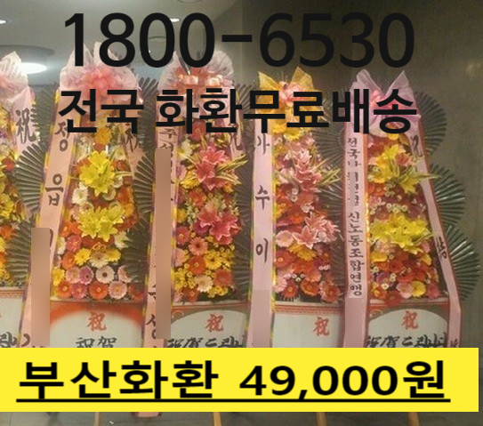  부산 롯데호텔웨딩홀 주변 화환 싼곳 꽃배달업체 추천받아 주문 당일배송 착한가격에 찐 가성비 화환 편리하게 주문하세요~