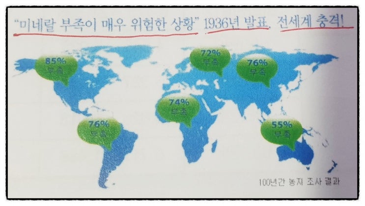  칼슘 철 아연 셀레늄 인 칼륨 마그네슘 구리 미네랄 미량원소