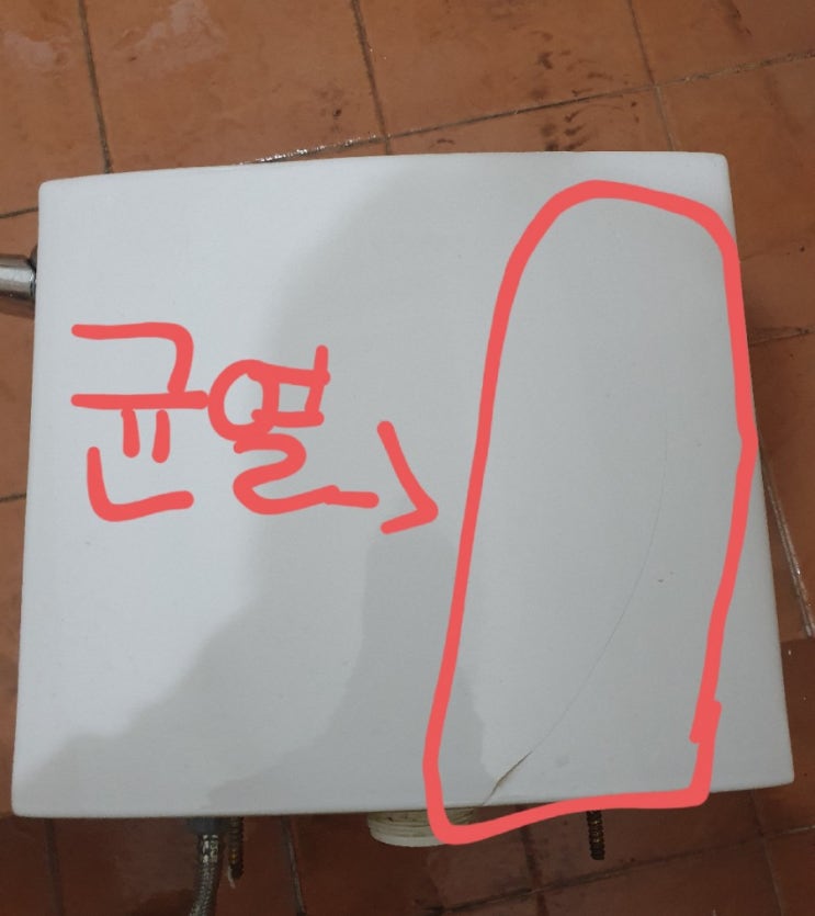  청주변기교체 변기하부고정 꼭 해야 하나요? 청주 대성동 상가 얼어서 깨진 변기교체 하는 업체