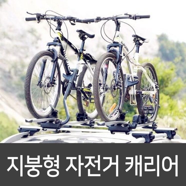 많이 팔린 자전거 지붕형 캐리어 좋아요 많이 팔린 자전거 지붕형 캐리어 좋아요