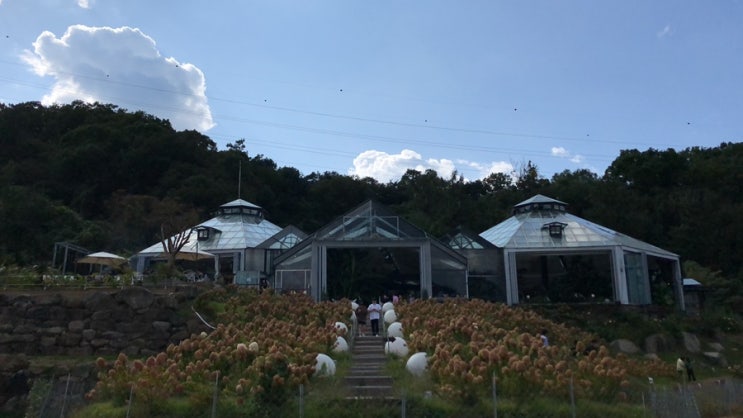  남양주 드라이브 : 남양주 식물원 카페, 비루개