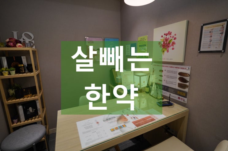  중동살빼는한약 비대면 전화처방 가능