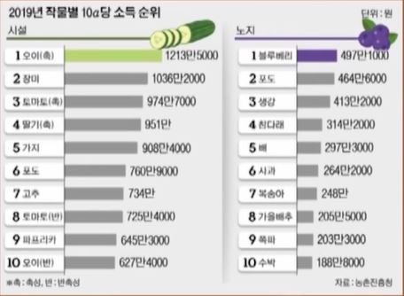  10a기준 작물별 소득 순위