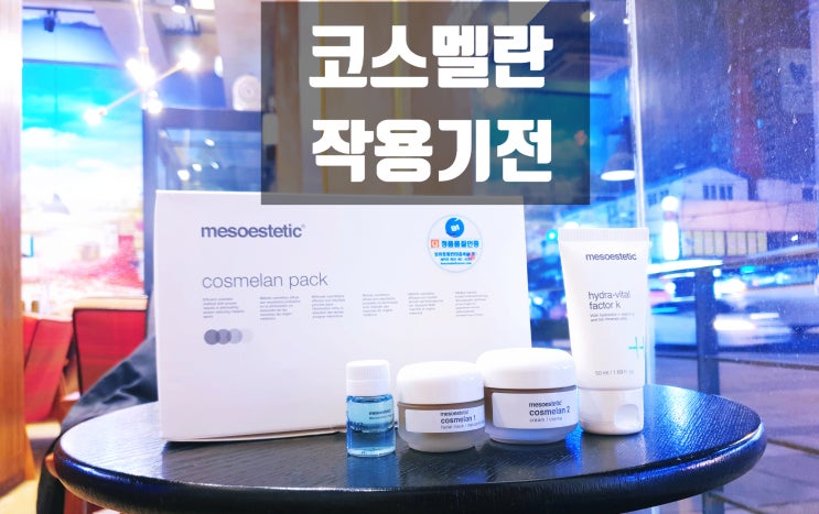  코스멜란 관리 첫 번째 노하우 1편 (초심자) - 코스멜란 구매 전 필독 -