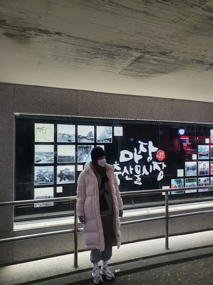  마장동/마장축산물시장/한우촌 : 팔팔(88)황금한우