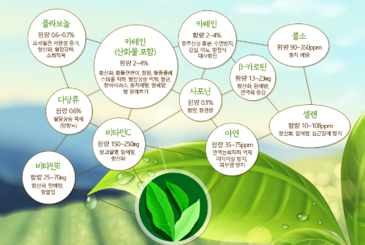 녹차 효능과 카테킨 효능, 다이어트와의 상관관계 (카페인, 현미녹차, 가루, 추출물) : 네이버 블로그