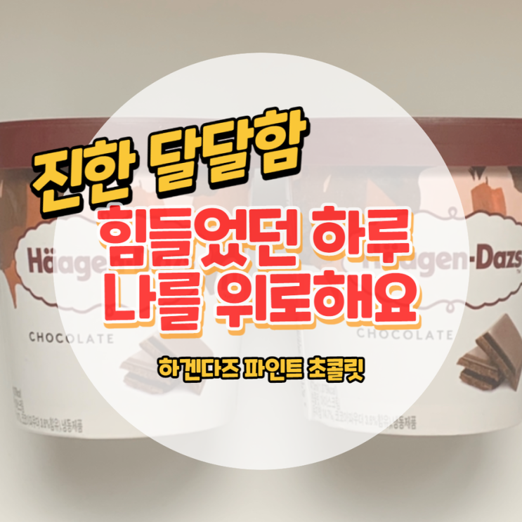  홈 카페 오픈하려고 산 하겐다즈 파인트