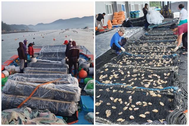 "이주노동자 없으면 한국 사람은 '김 없는 김밥' 먹어야 할 판" "이주노동자 없으면 한국 사람은 '김 없는 김밥' 먹어야 할 판"