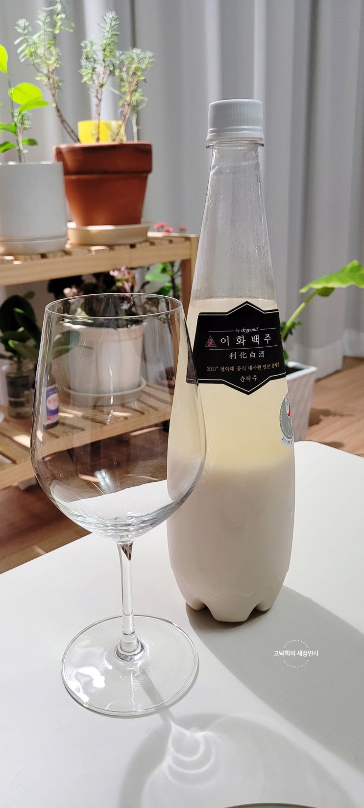  설 명절 선물로도 안성맞춤인 이화백주 시음 후기