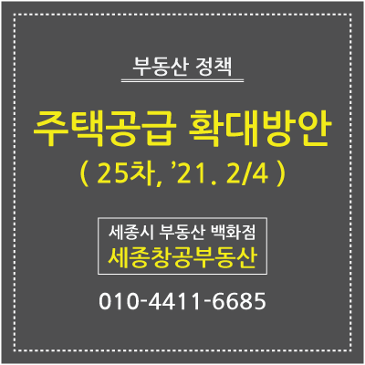  [2·4 부동산 대책] 대도시권 주택공급 획기적 확대방안