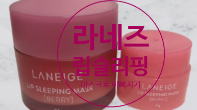  라네즈 립슬리핑 마스크 자는동안 이뻐지세요