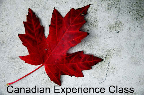  Canadian Experience Class (CEC) 자격, 신청 절차 및 방법 공개