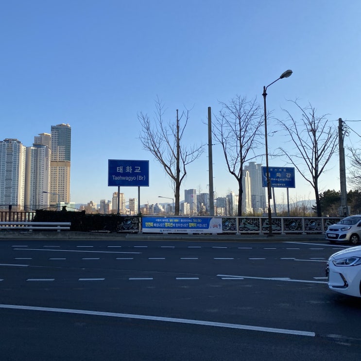  울산 중구 구역전시장 울산정훈수산 위치 및 울산당근마켓전복판매, 주문택배배송,울산전복선물포장, 완도전복효능, 완도 전복 손질법, 전복손질솔, 완도전복주문