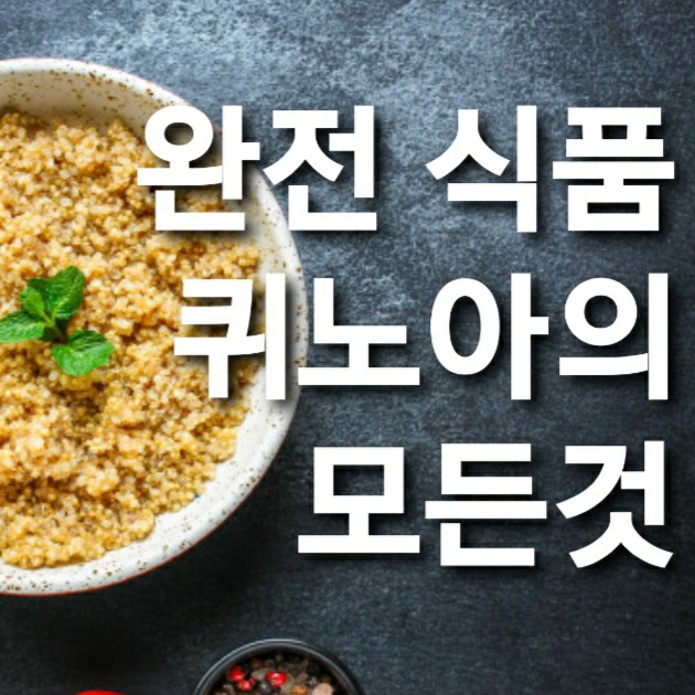  퀴노아에 대한 모든것- 퀴노아 효능, 퀴노아 먹는 법