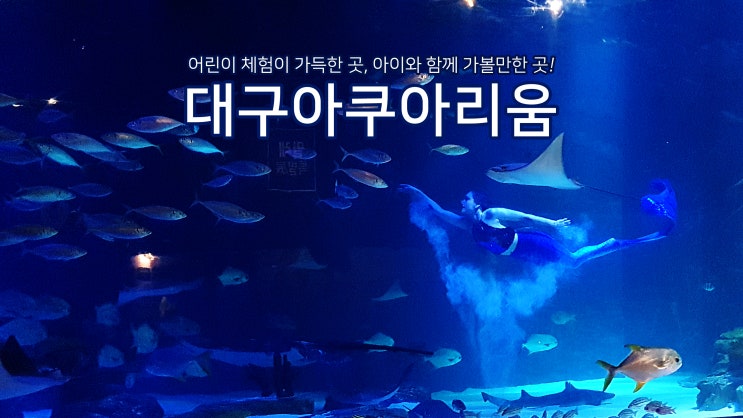  대구아쿠아리움에서 바다친구들도 만나고 어린이체험도 마음껏하고 왔네요~