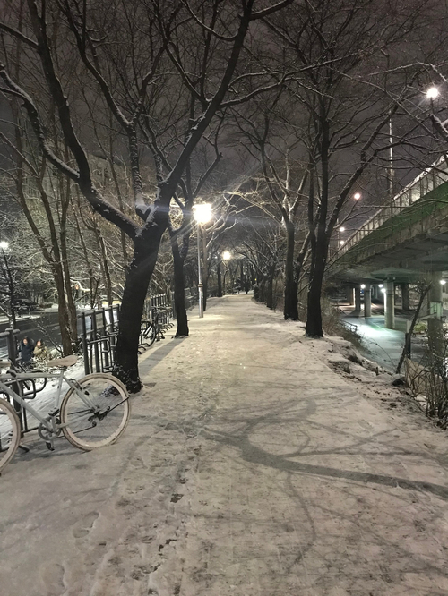  인천부평구퀵서비스 묻고 따지지도 말고 이곳으로!