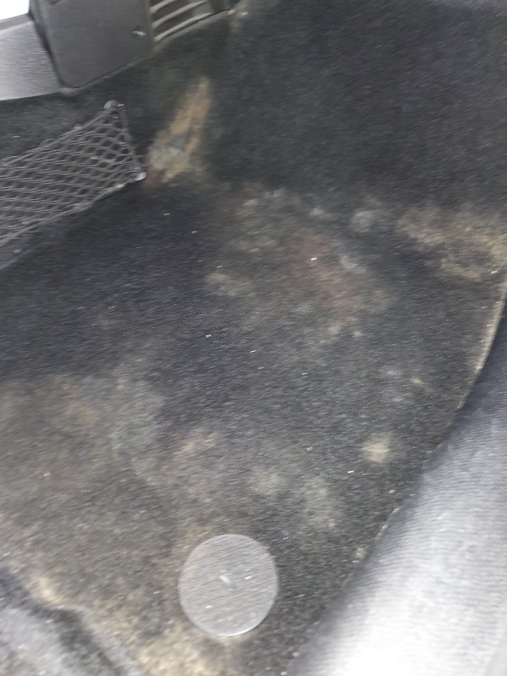  분당 야탑 BMW 미니쿠페 외제차 중고차 곰팡이피었을때 실내크리닝