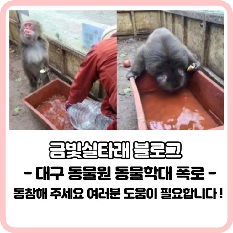  대구동물원동물학대(청원 동참해주시면 감사하겠습니다)금빛실타래님 블로그폭로