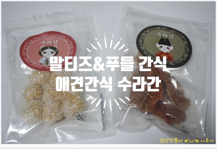  말티즈,푸들 간식 추천 애견간식 수라간