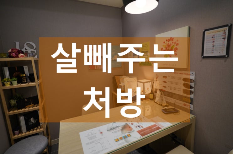  중동살빼는한약 가지 않고도 처방받을 수 있어요