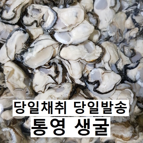 의외로 인기있는 통영 생굴 3kg 5kg (오후 6시 이전 주문시 당일발송), 1박스 ··· 의외로 인기있는 통영 생굴 3kg 5kg (오후 6시 이전 주문시 당일발송), 1박스 ···
