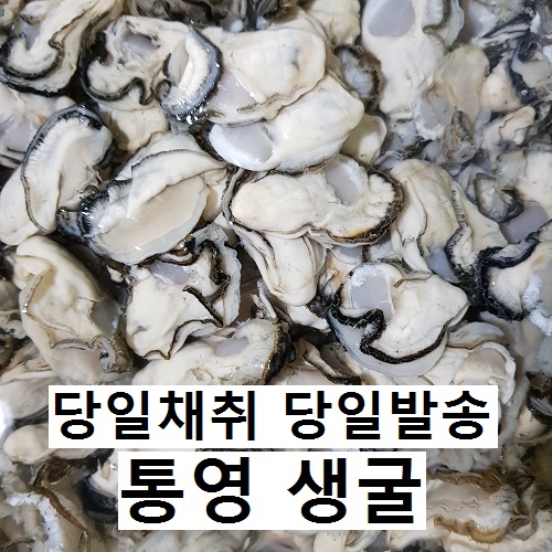 의외로 인기있는 통영 생굴 3kg 5kg (오후 6시 이전 주문시 당일발송), 1박스 ···