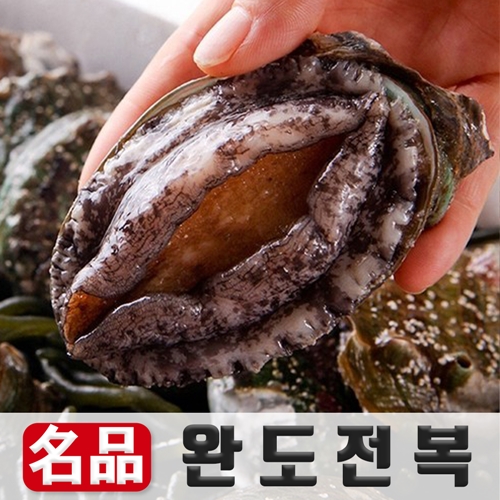 인기 급상승인 24시내고향 산소포장 완도 활 전복 양식장 산지직송, 500g (소) 8-9미 추천합니다