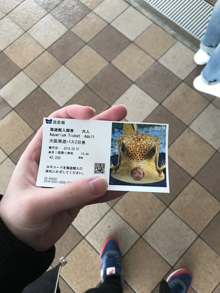  [해외여행기] 일본 오사카 카이유칸 여행기