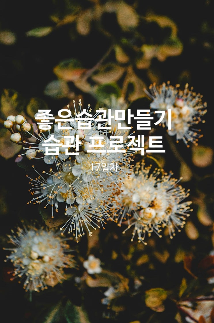  좋은 습관 만들기 습관 프로젝트 17일차(오늘 하루만은)