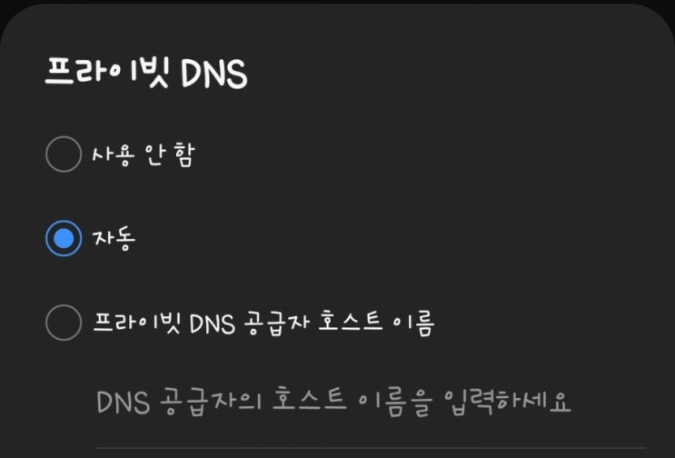  폰이 느리다 싶을때 프라이빗 DNS 확인.