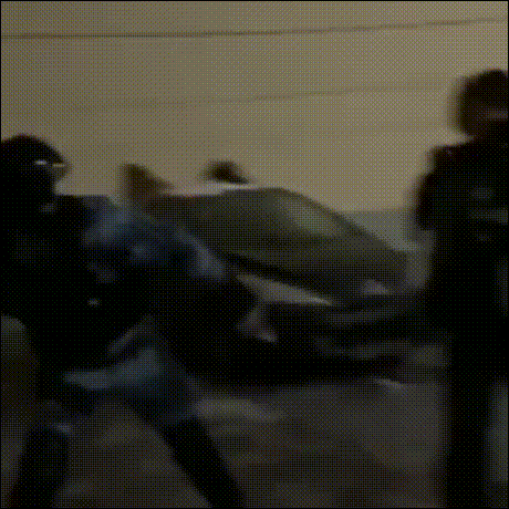  러시아 근황