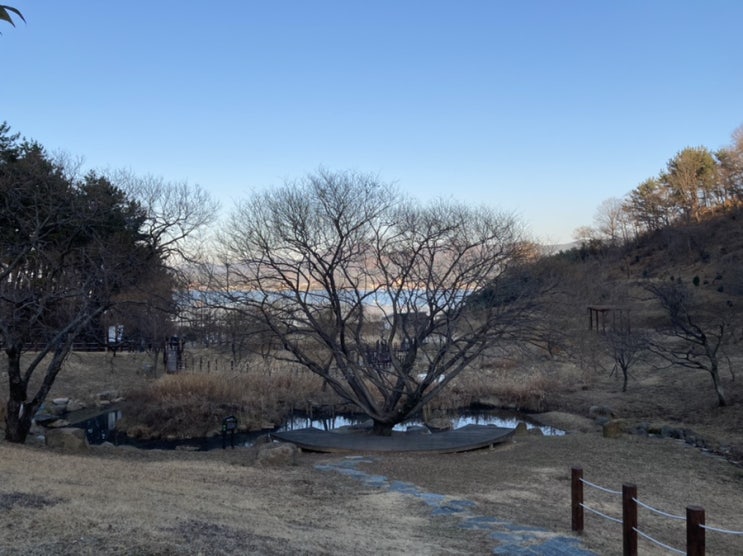  통영, 아이랑 강아지와 산책하기 좋은 세자트라숲!