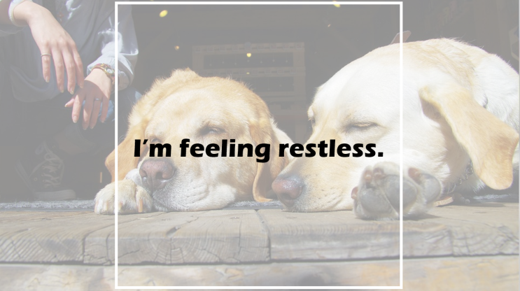 I'm feeling restless.